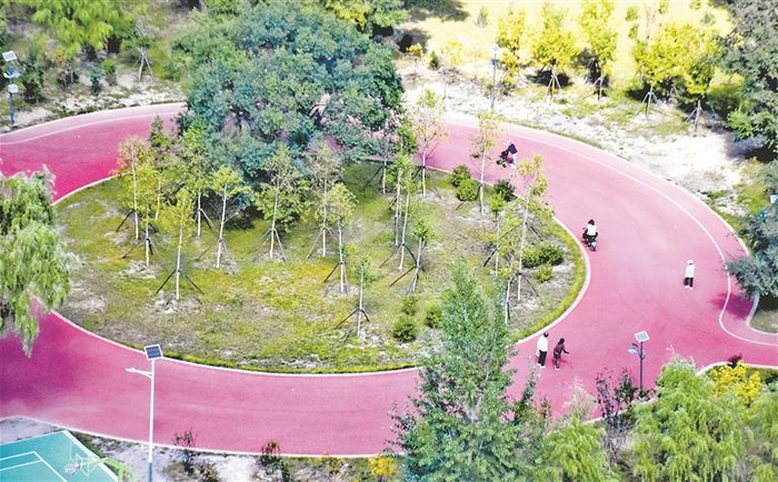 齐齐哈尔：老旧厂区变身体育公园